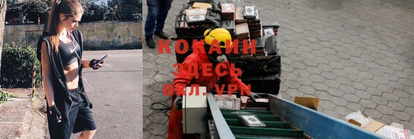 гашик Володарск