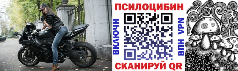 Купить где  Суджа  Псилоцибиновые грибы мухоморы 